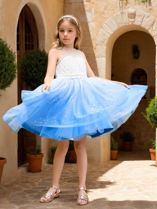 Ball-Gown/Princess Tulle Knee-length Blue Flower Girl Dress