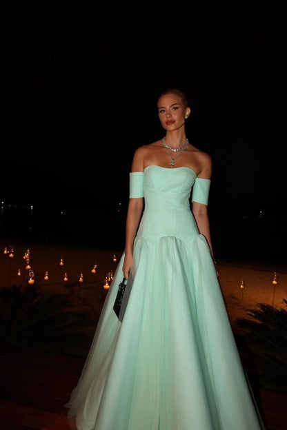 Elegant Strapless A-Line Mint Green Prom Dress ZT0585