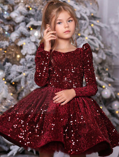 Ball Gown Princess Long Sleeves Sequins Little Girl Dresses