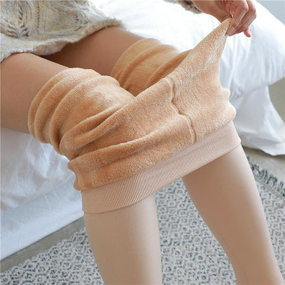 1 Pair Women's Home Office Work Solid Color Spandex Nylon Basic Classic Warm Panty Hose