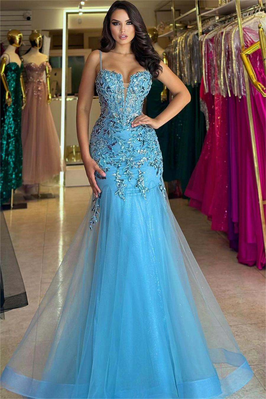 edgynewlook Stunning Tulle Spaghetti Strap Sleeveless Ball Gown Long Prom Dress with Embroidery