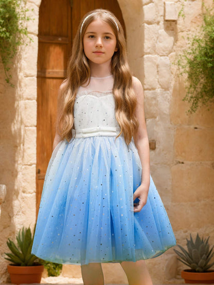 Ball-Gown/Princess Tulle Knee-length Blue Flower Girl Dress