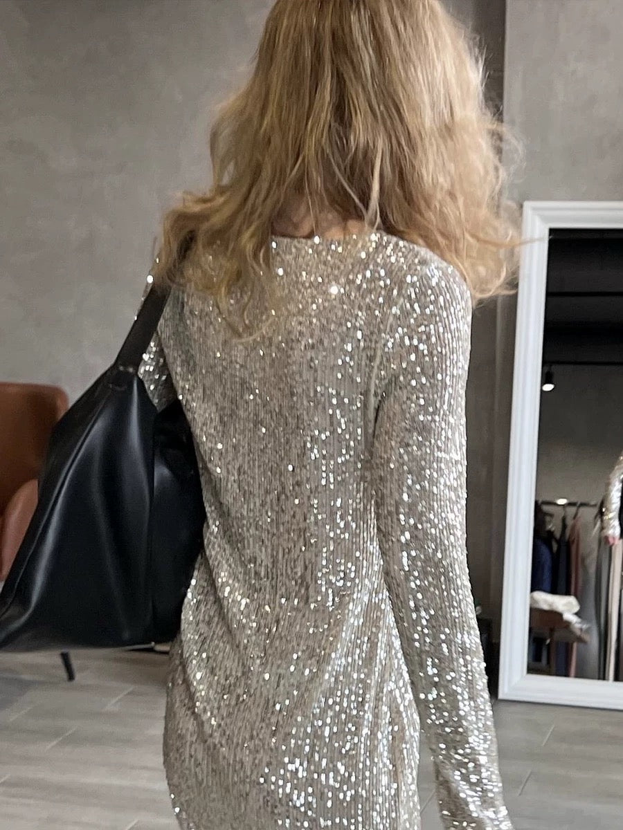 Sequin Round Neck Long Sleeve Mini Dinner Dress Short Homecoming Dresses C2332