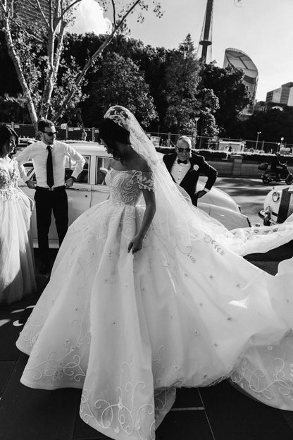 Ball Gown Off-the-shoulder Floor Length Tulle Applique Wedding Dress