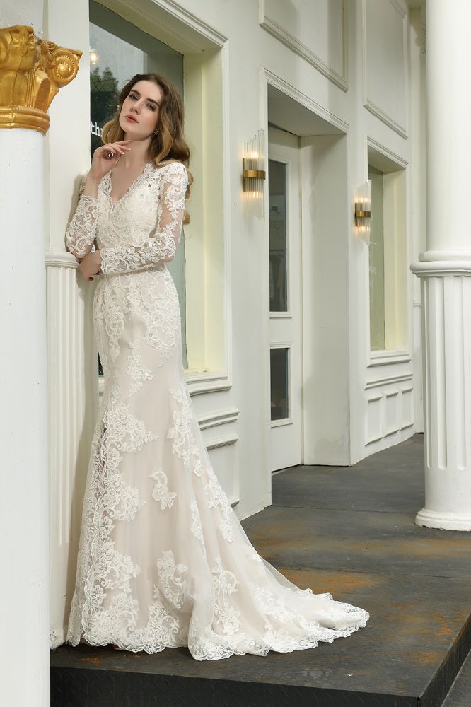 Delicate V Neck High Split Long Sleevess Lace Wedding Dress With Court Train