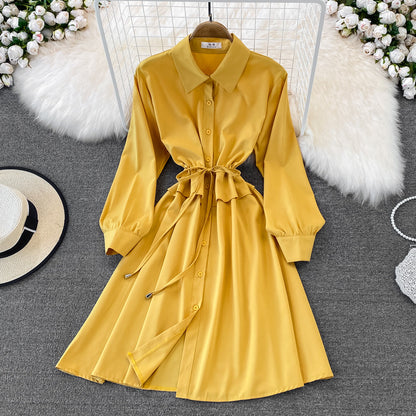 Cute A Line Shirt Dress Fashion Girl Dress  10705