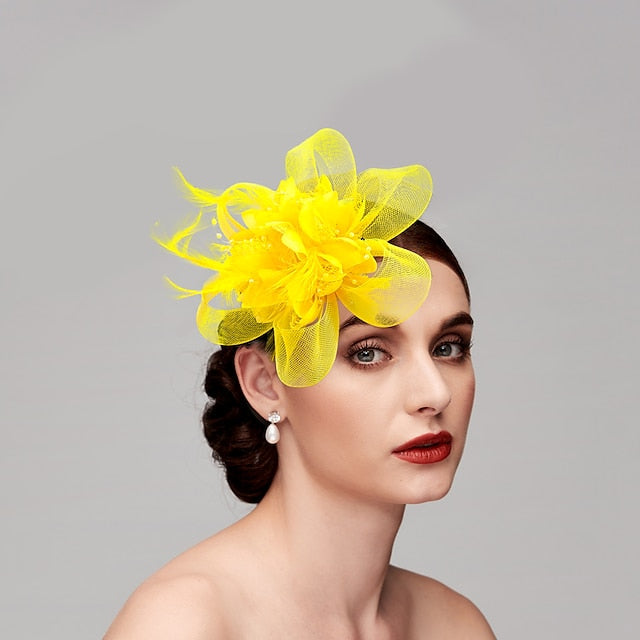 Elegant Feather Net Fascinators Hats with Feathers