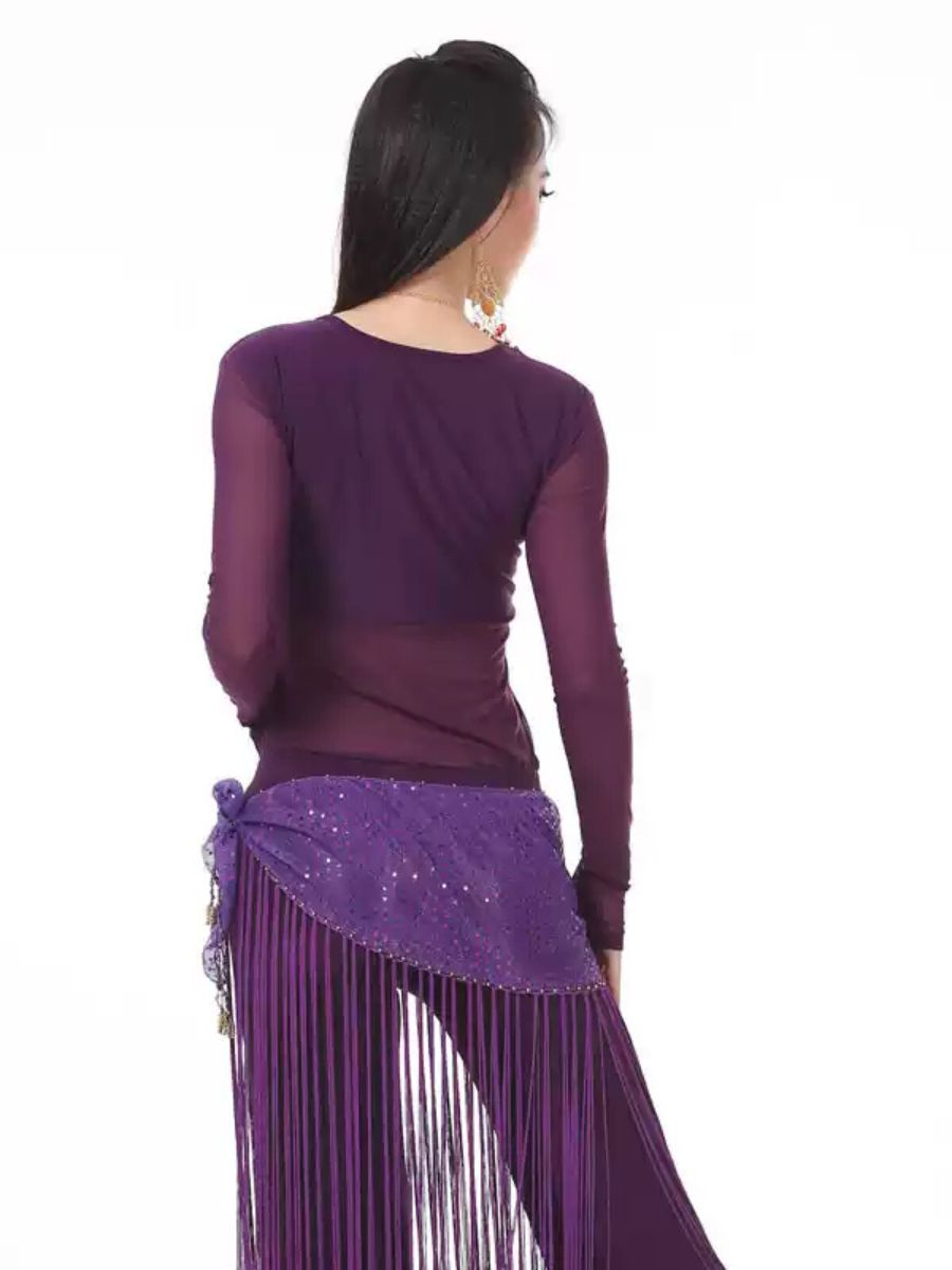 Belly Dance V-Neck Long Sleeves Ruched Long Top Performance Costume