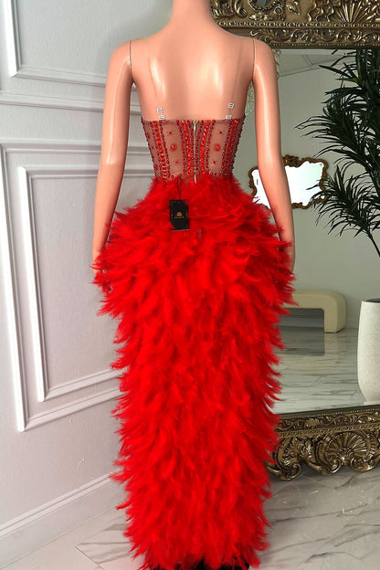 Bruna Feather Dress