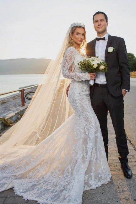 Noble vneck longsleeves mermaid lace Wedding Dresses